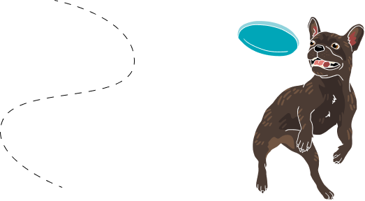 Dog playing fetch vector