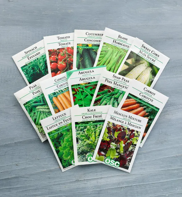 Various packets of gardening seeds on wood background.