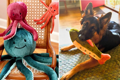 Pets on Broadway has treats, toys, and almost everything in between for dogs, cats, and more.