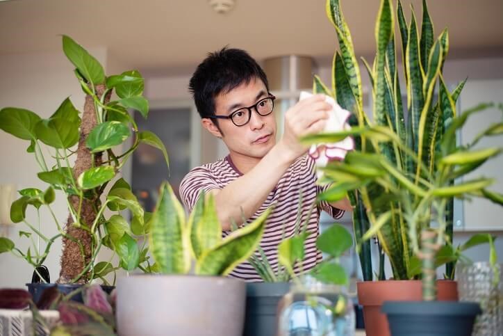 Man + Plants
