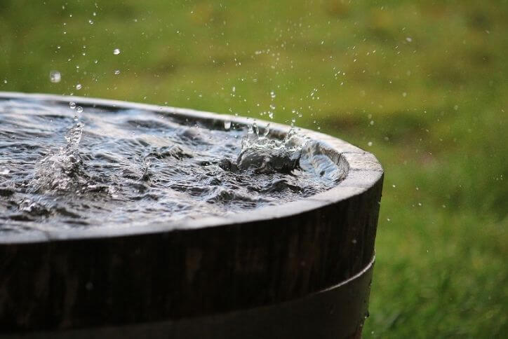 3 Ideas for Collecting Rainwater