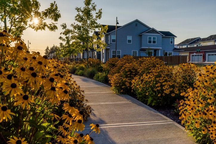 Alt text: The sun rises over new homes at Reed’s Crossing in Hillsboro, OR.