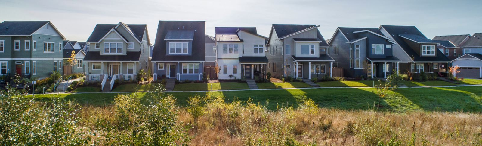 neighborhood-street-sunny-reeds-crossing-hillsboro-or.jpg