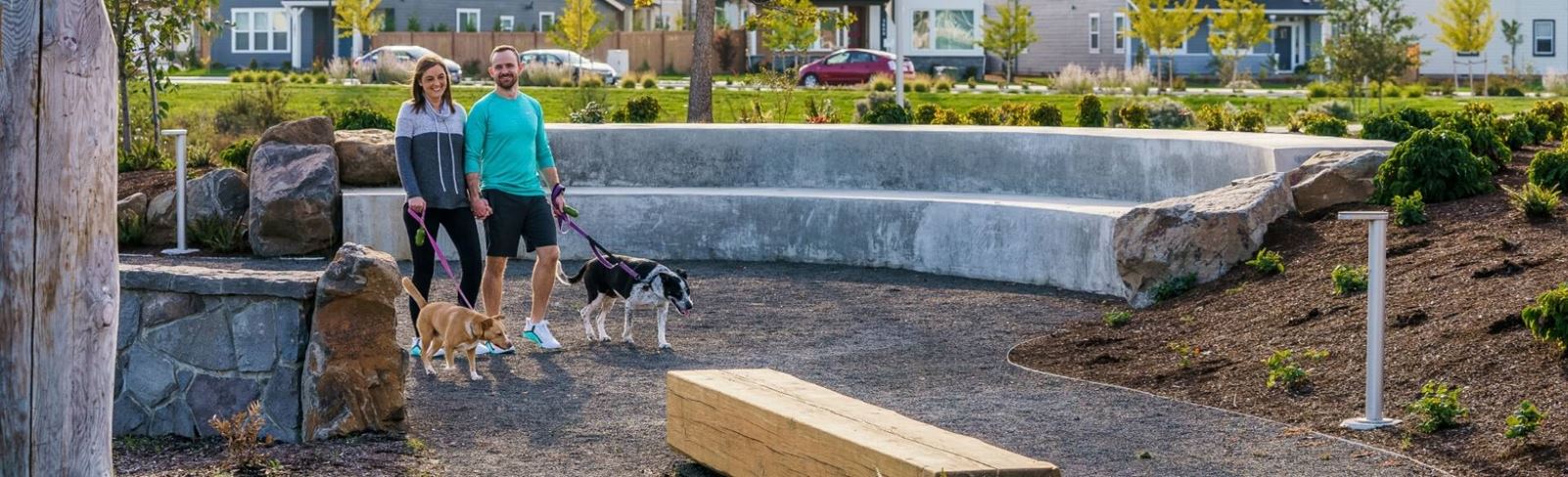 couple walking their dogs
