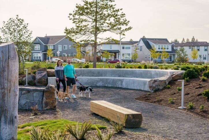 A couple walks two dogs in a park.