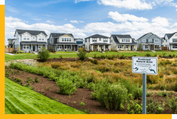 Protected wetlands at Reed's Crossing Community