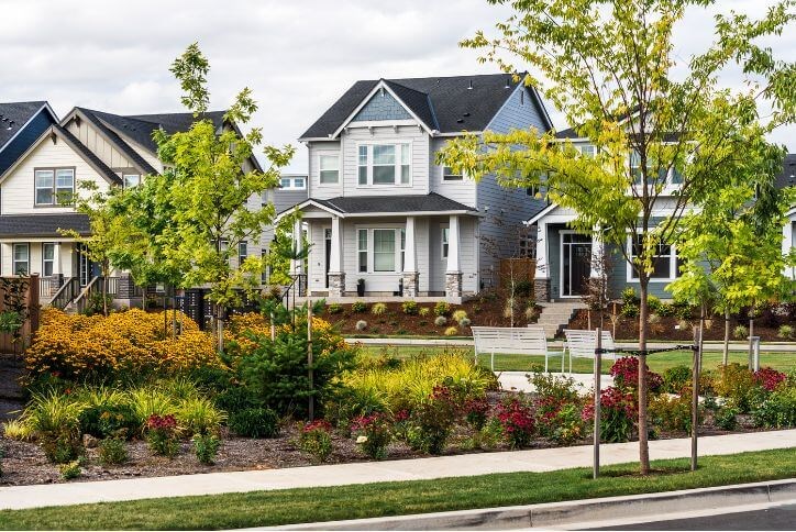 A streetscape of homes surrounded by green trees in Reed’s Crossing.