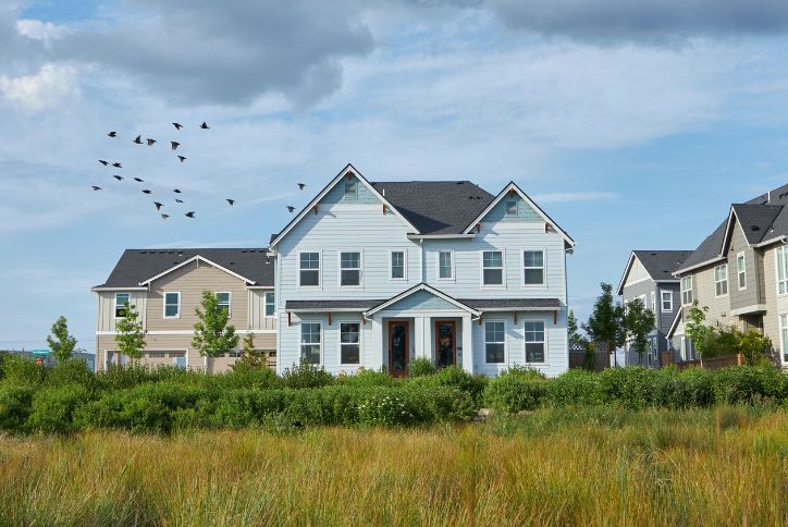 New Home in Reed's Crossing