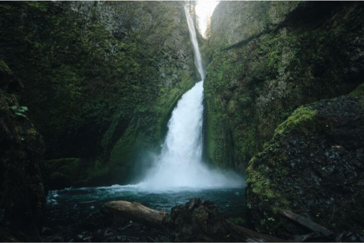 Wahclella Falls in Oregon gushes through a rock wall and tumbles into a pool below.