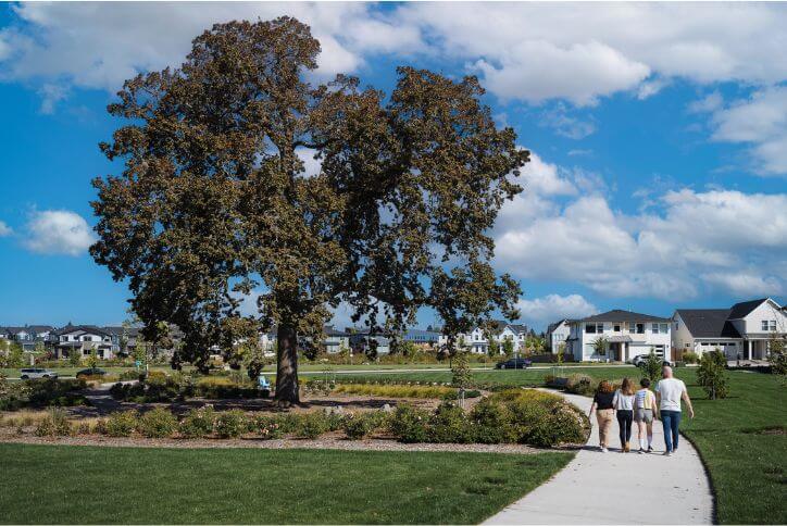 A family of four walks on a path alongside a giant oak tree in Hillsboro’s Tamarack Park.