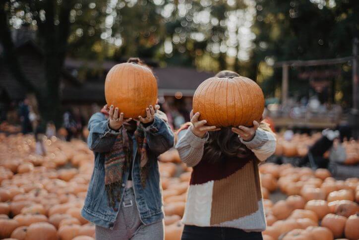 Two people hold pumpkins up in front of their faces at a pumpkin patch.
