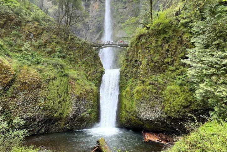 People stand on a bridge dwarfed by Oregon’s Multnomah Falls.