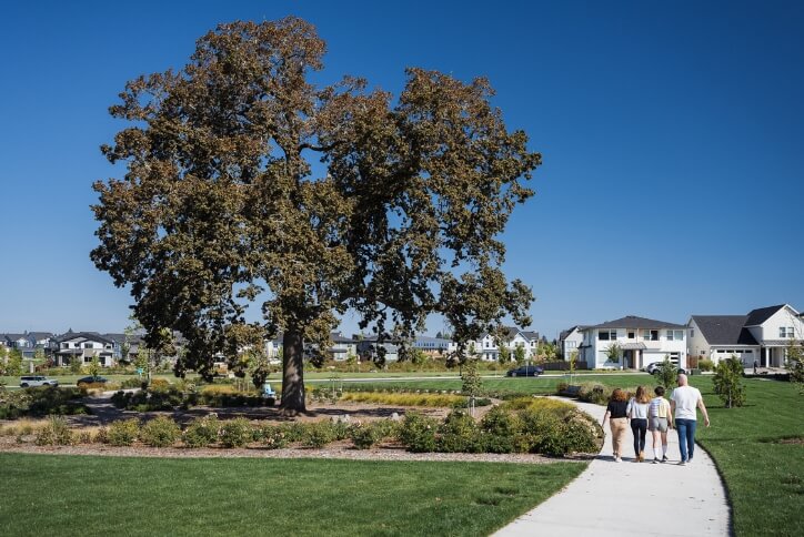A family of four walks along a paved path next to a historic oak tree in Tamarack Park.