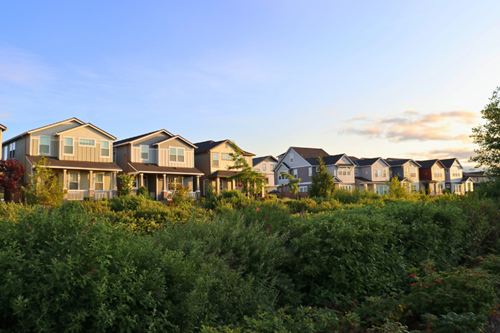 The setting sun highlights homes that sit along the Reed’s Crossing Greenway on a summer evening.