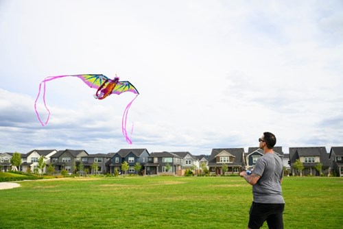 A man flies a colorful kite shaped like a bird in Reed’s Crossing Park.