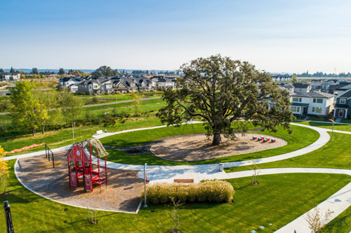 Aerial photo of Dobbin Park in Reed’s Crossing.