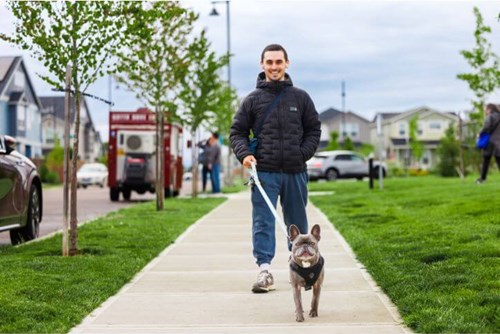 A man walks a French Bulldog in Reed’s Crossing Park.