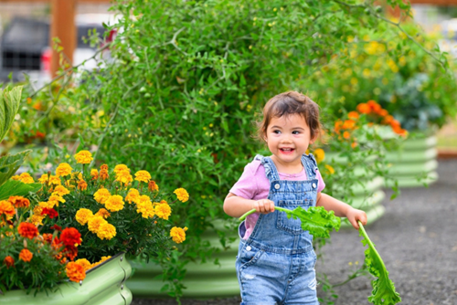 A child plays in the Reed’s Crossing Community Garden.