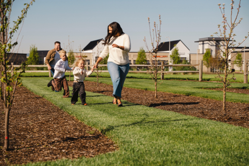 A family plays among the rows in the orchard in Reed’s Crossing Park North.