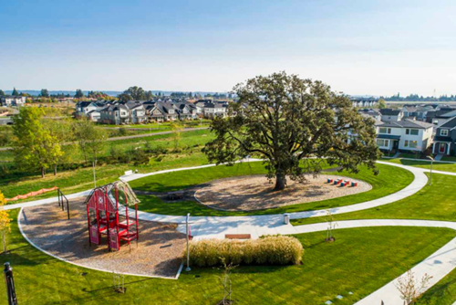 Aerial view of Dobbin Park’s red barn play structure and towering oak tree in Hillsboro, Oregon.
