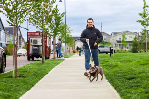 A man walks a French bulldog in Reed’s Crossing Park in Hillsboro, Oregon.